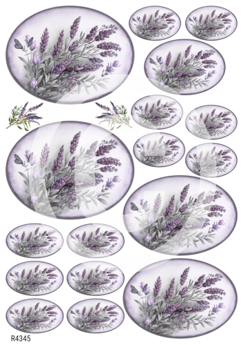 R4345_wm.png