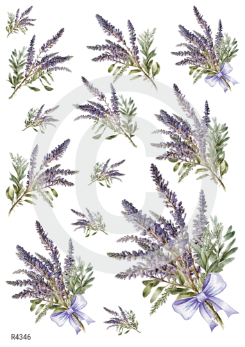 R4346_wm.png