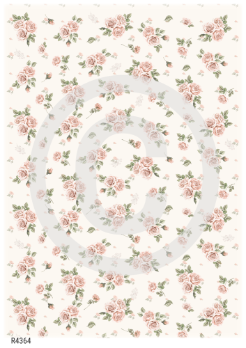 R4364_wm.png