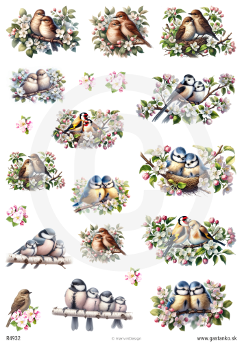 Papier ryżowy   wiosna , kwiaty . ptaki 