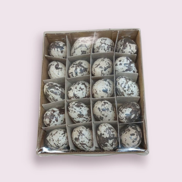 Photoroom-20250219_141824_6 (1).png