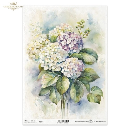 Papier ryżowy ITD R2467 - A4, Hortensja.jpg