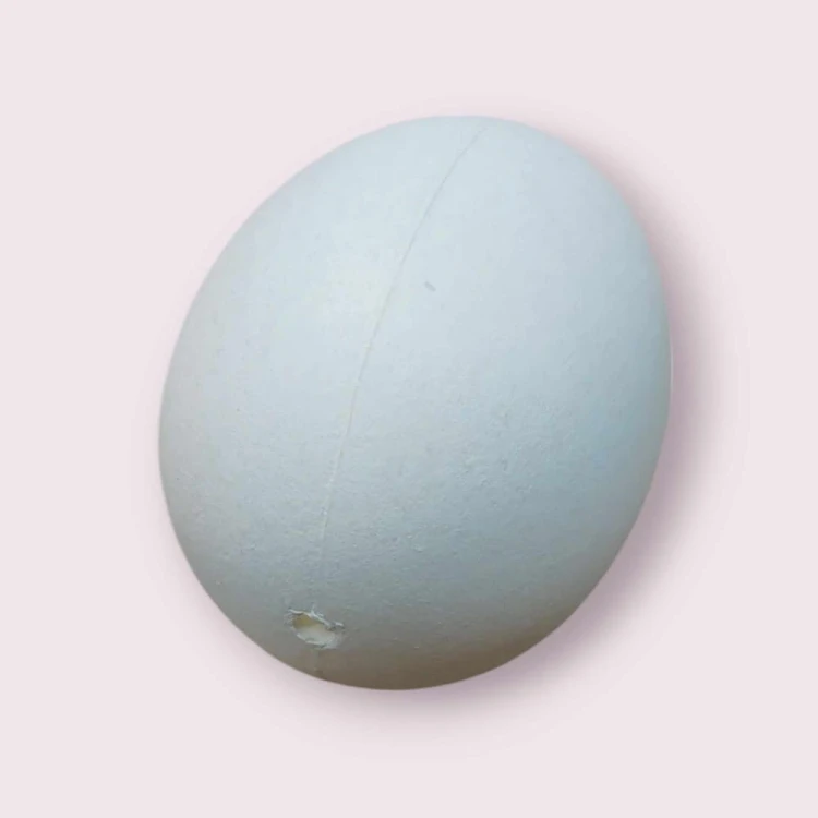 Jajo plastikowe 6cm -  otwór na zawieszkę.jpg