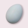 Jajo plastikowe 6cm -  wydmuszka.jpg