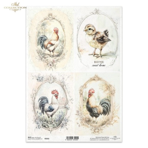 Papier ryżowy ITD R2562 - A4, Pan Kogut