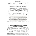 Decor Transfer Botanical Magazine - rolka 61x89 cm | Prima
