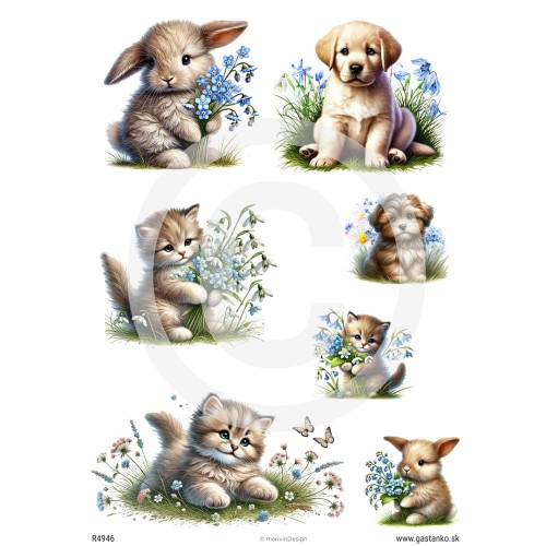 Papier ryżowy format A4 marki mariviriDesign, ze wzorem 7 słodkich zwierzątek z niezapominajkami. Mały kotek, piesek i króliczek. Idealny do decoupage.