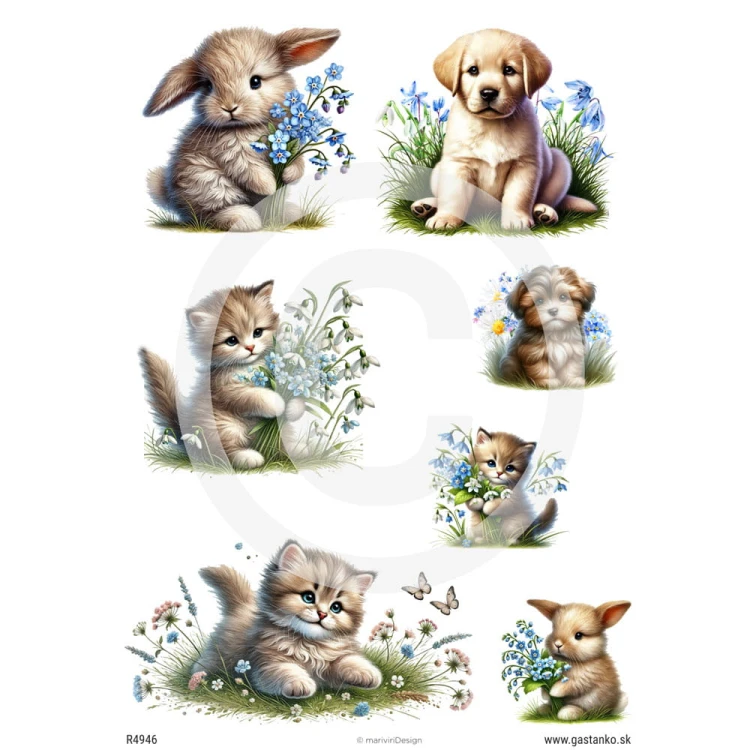 Papier ryżowy format A4 marki mariviriDesign, ze wzorem 7 słodkich zwierzątek z niezapominajkami. Mały kotek, piesek i króliczek. Idealny do decoupage.
