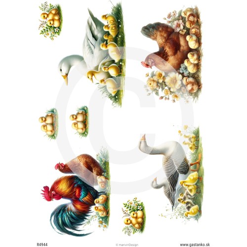 Papier ryżowy A4 - kury, kaczki, kogut | ©mariviriDesign
