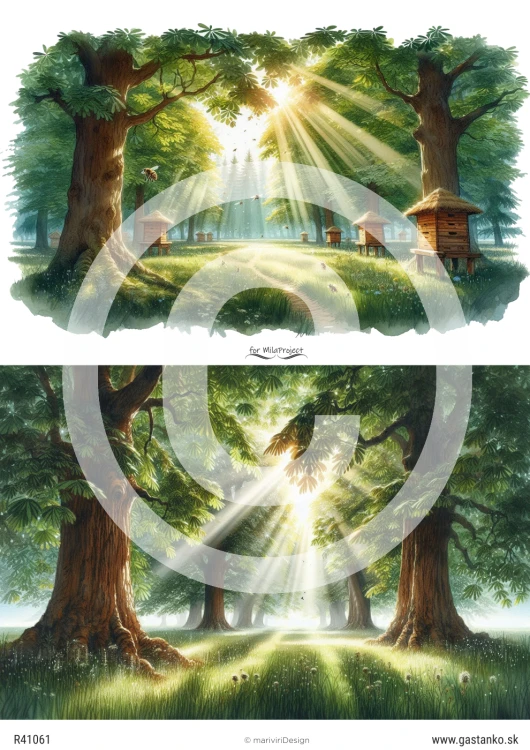 R41061_wm.png