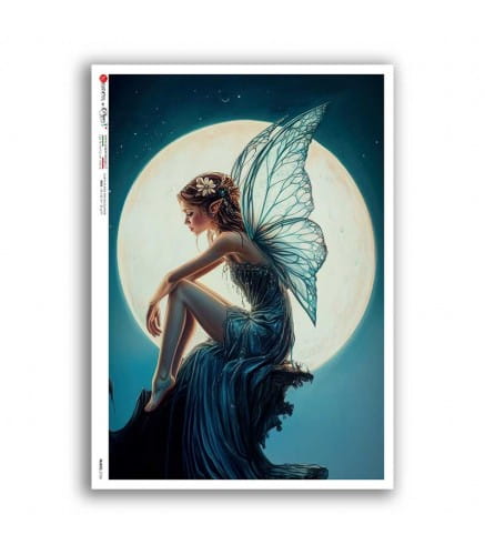 fairies-0124-rice-paper-for-decoupage-fairies.jpg