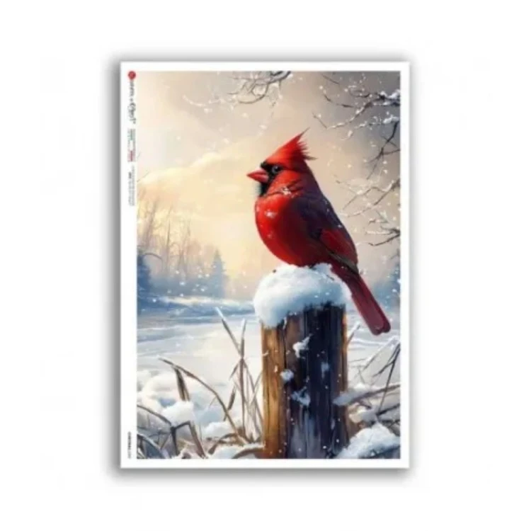 Papier ryżowy włoskiej marki Paper Designs, format A5. Zawiera lustrację z czerwonym ptakiem kardynałem, siedzącym w zimowym pieńku. Kod producenta 0382. Idealny do decoupage i projektów DIY.