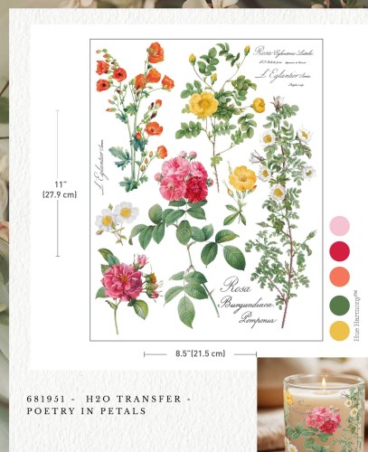 Transfer wodny H2O Poetry in petals | Prima Re·Design 681951