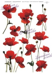 Papier ryżowy  Kwiaty  ITD 039