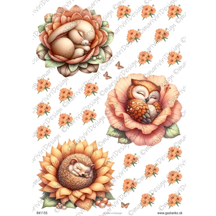 Papier ryżowy format A4 marki mariviriDesign. Zawiera trzy ilustracje: sówka, jeż i zajączek śpiące na pąkach kwiatów otoczonych drobnymi kwiatuszkami. Kolory: pastelowy pomarańcz z odrobiną zieleni. Idealny do decoupage i projektów DIY. Kod wzoru R41155.