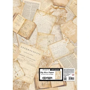 Papier ryżowy 50x70 cm Stamperia DFSAJB017 - All Around Listy vintage