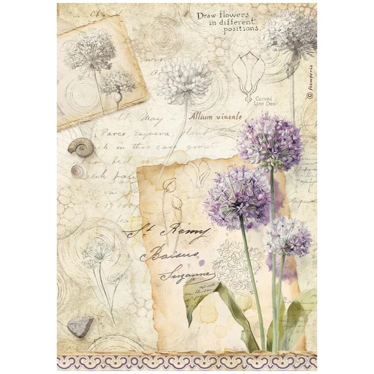 Papier ryżowy Stamperia z kolekcji All Around z motywem kwitnącego czosnku na tle zapisków z zielnika w stylu vintage. Format A4, kod produktu DFSA41122. Idealny do decoupage oraz projektów mixmedia, handmade i DIY.