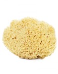 lullalove-naturalna-gabka-morska-do-twarzy-i-ciala-xxl-honeycomb-.jpg