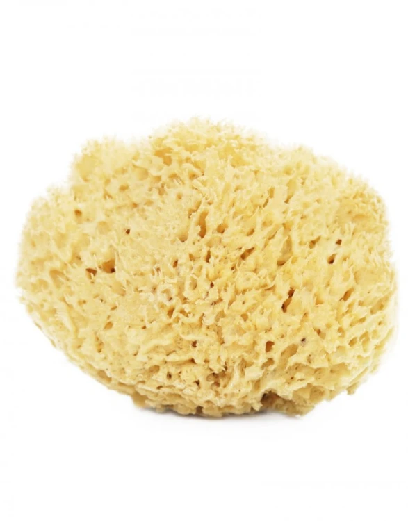 lullalove-naturalna-gabka-morska-do-twarzy-i-ciala-xxl-honeycomb-.jpg