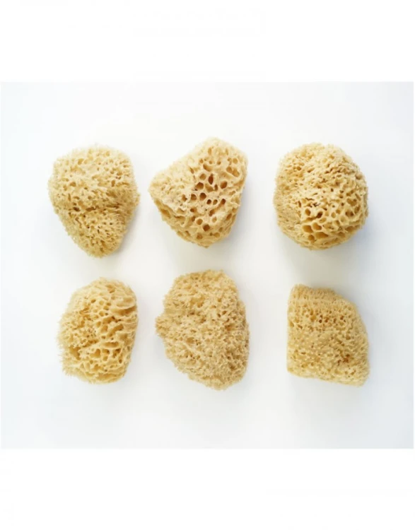 lullalove-naturalna-gabka-morska-do-twarzy-i-ciala-xxl-honeycomb- (1).jpg