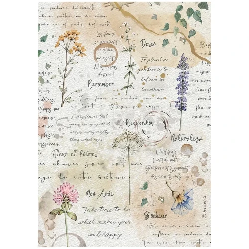 Papier ryżowy Flowers and Poems. Motyw:  akwarelowa ilustracja z zielnika, odręczne zapiski i kwiaty, rozmyte plamy akwareli.  Format A4, kod produktu DFSA41160. Idealny do techniki decoupage oraz projektów mixmedia, handmade i DIY.