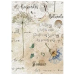 Papier ryżowy A6 Stamperia Flowers and Poems DFSA6X13 - zestaw 8 sztuk