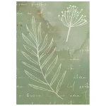 Papier ryżowy A6 Stamperia Flowers and Poems DFSAK6062 - zestaw 8 sztuk