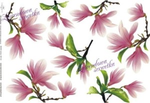 Papier ryżowy   Kwiaty  ITD 114