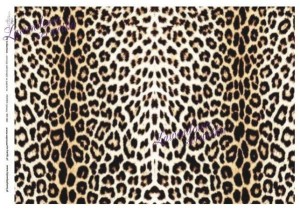 Papier ryżowy   ITD 080