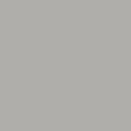 pentart-pasta-deluxe-100ml-platyna.jpg