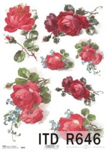 Papier Ryżowy ITD 646 