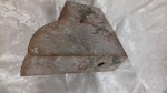 20170928_101720.jpg