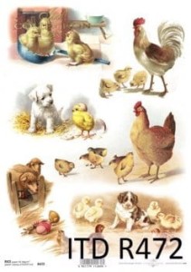 Papier Ryżowy ITD 471