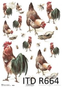 Papier Ryżowy ITD 664