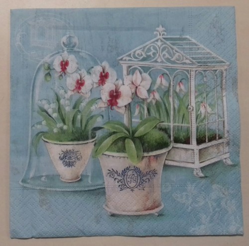 serwetka do decoupage, storczyki , kwiaty