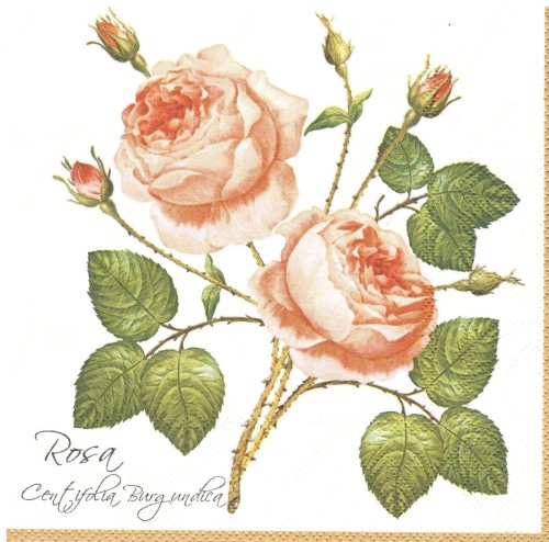 serwetka do decoupage, roże
