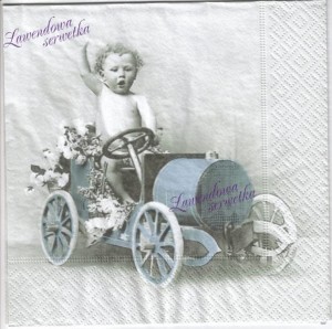 Serwetki DZIECIĘCE  SAG S10