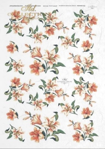 Papier ryżowy ITD R0148