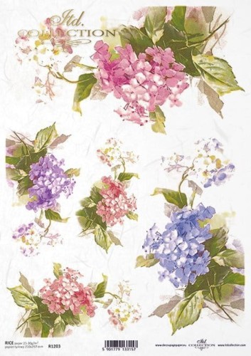 Papier ryżowy ITD R1203