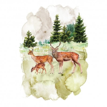 prima-decor-transfers-23x34-fauna-kolorowy.jpg