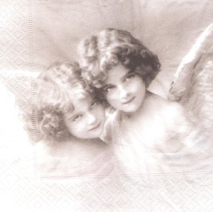 Serwetka SAGEN   33x33    