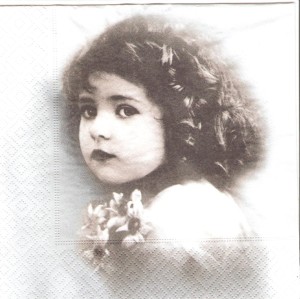 Serwetka SAGEN   33x33   