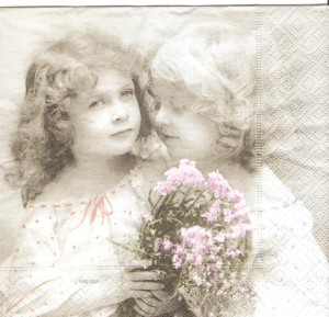 Serwetka SAGEN   33x33  