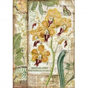 STAMPERIA PAPIER RYŻOWY A4 AMAZONIA ORCHIDEA
