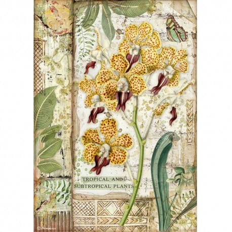 stamperia-papier-ryzowy-a4-amazonia-orchidea.jpg