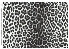 Papier ryżowy   ITD 083