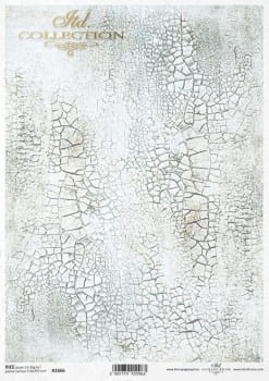 1666.jpg