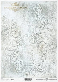 1666.jpg